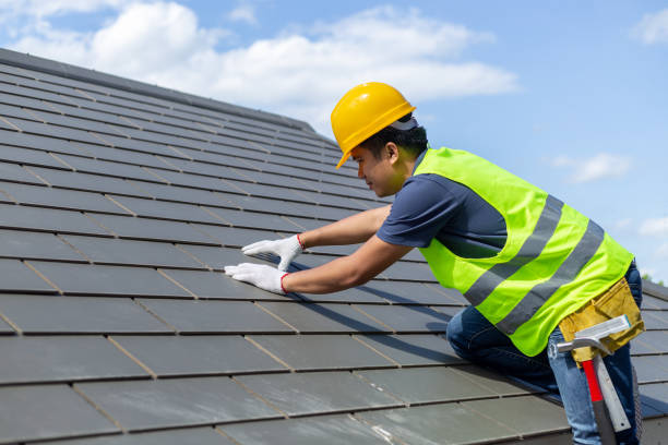 Best Roof Gutter Cleaning  in Camden, NJ