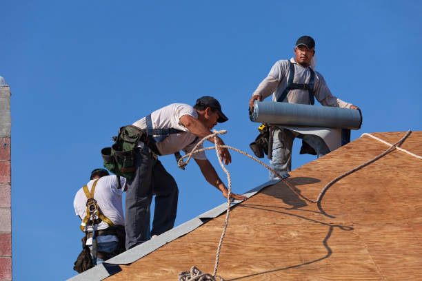 Best Commercial Roofing Services  in Camden, NJ