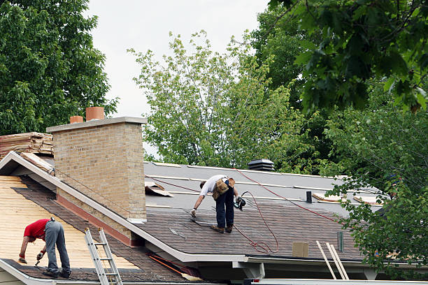 Professional Roofing Contractor in Camden, NJ