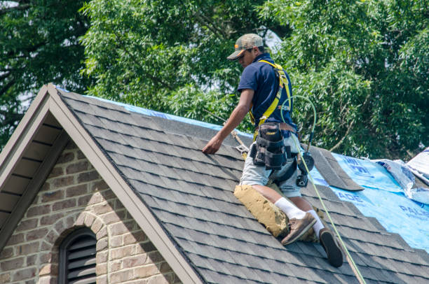 Best Roof Replacement Cost  in Camden, NJ